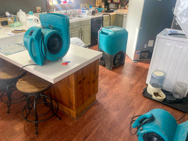 Best 24/7 water damage repair  in Crownpoint, NM