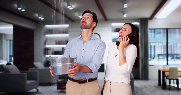 Best Water damage repair service  in Crownpoint, NM